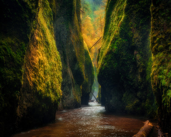 Oneonta Gorge